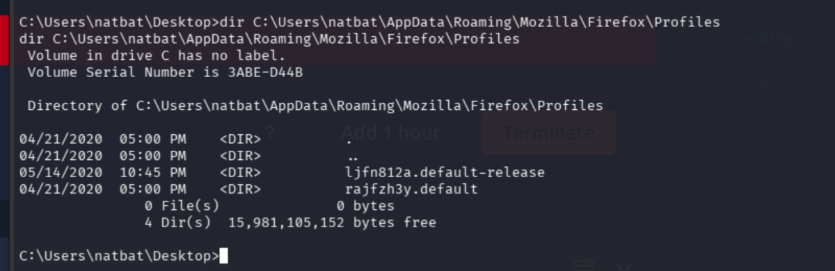 Firefox Profiles directory listing showing two profiles: ljfn812a.default-release and rajfzh3y.default